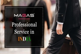 Professional Services In India