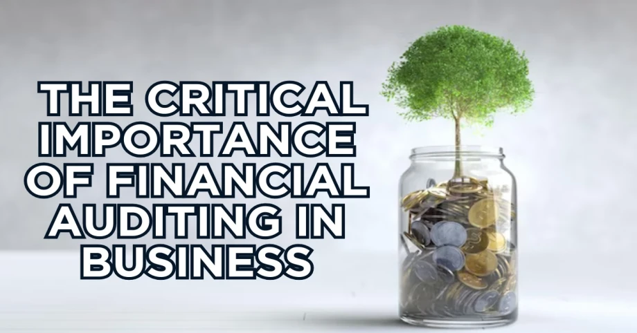The Critical Importance of Financial Auditing in Business