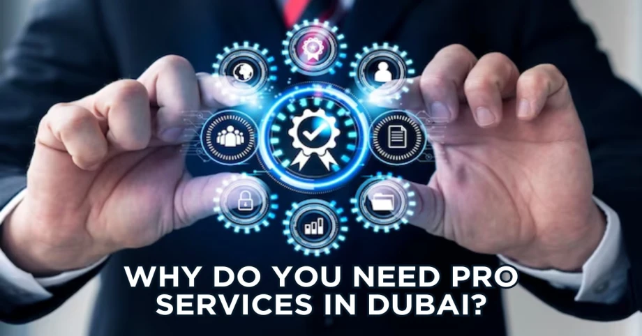 Why do you need PRO services in Dubai